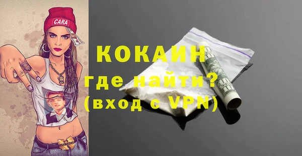 индика Арсеньев