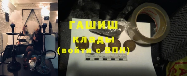 индика Арсеньев