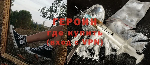индика Арсеньев