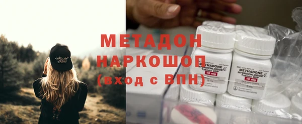 индика Арсеньев