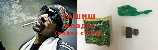 индика Арсеньев