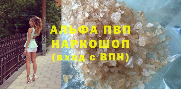 индика Арсеньев