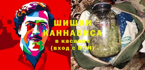 индика Арсеньев