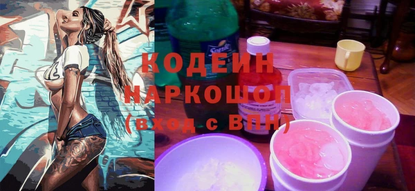индика Арсеньев