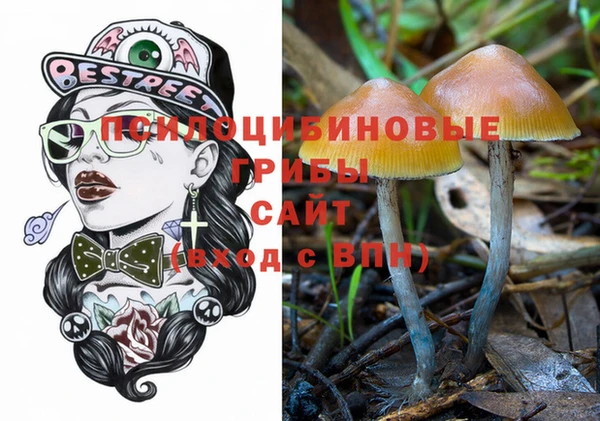индика Арсеньев