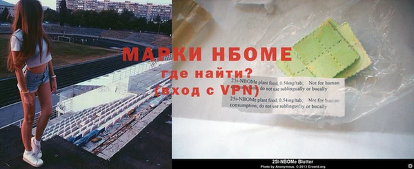индика Арсеньев
