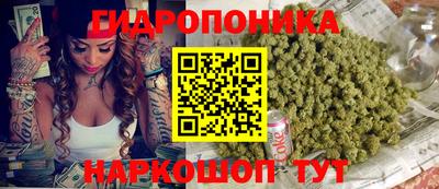 гидропоника Гагарин