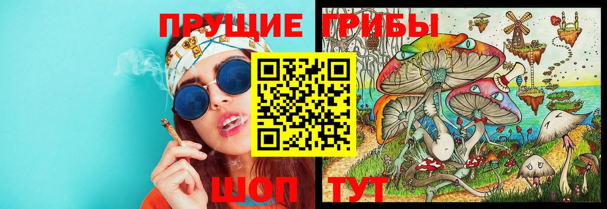 Галлюциногенные грибы GOLDEN TEACHER Кинель