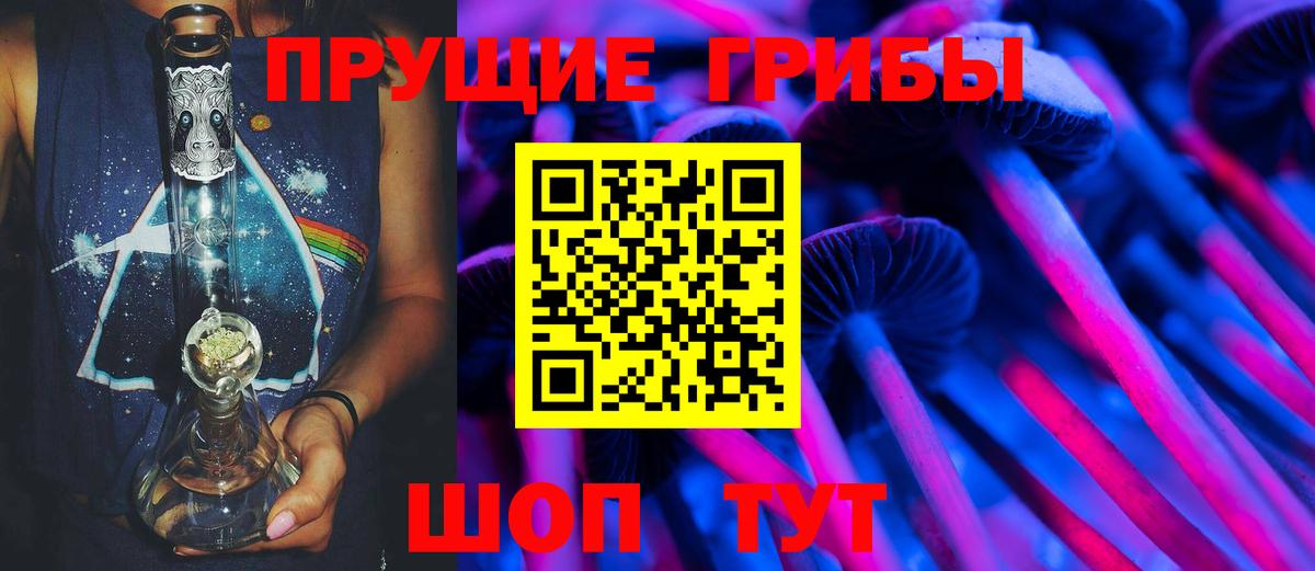 Кинель  Галлюциногенные грибы Magic Shrooms  Вход с VPN 